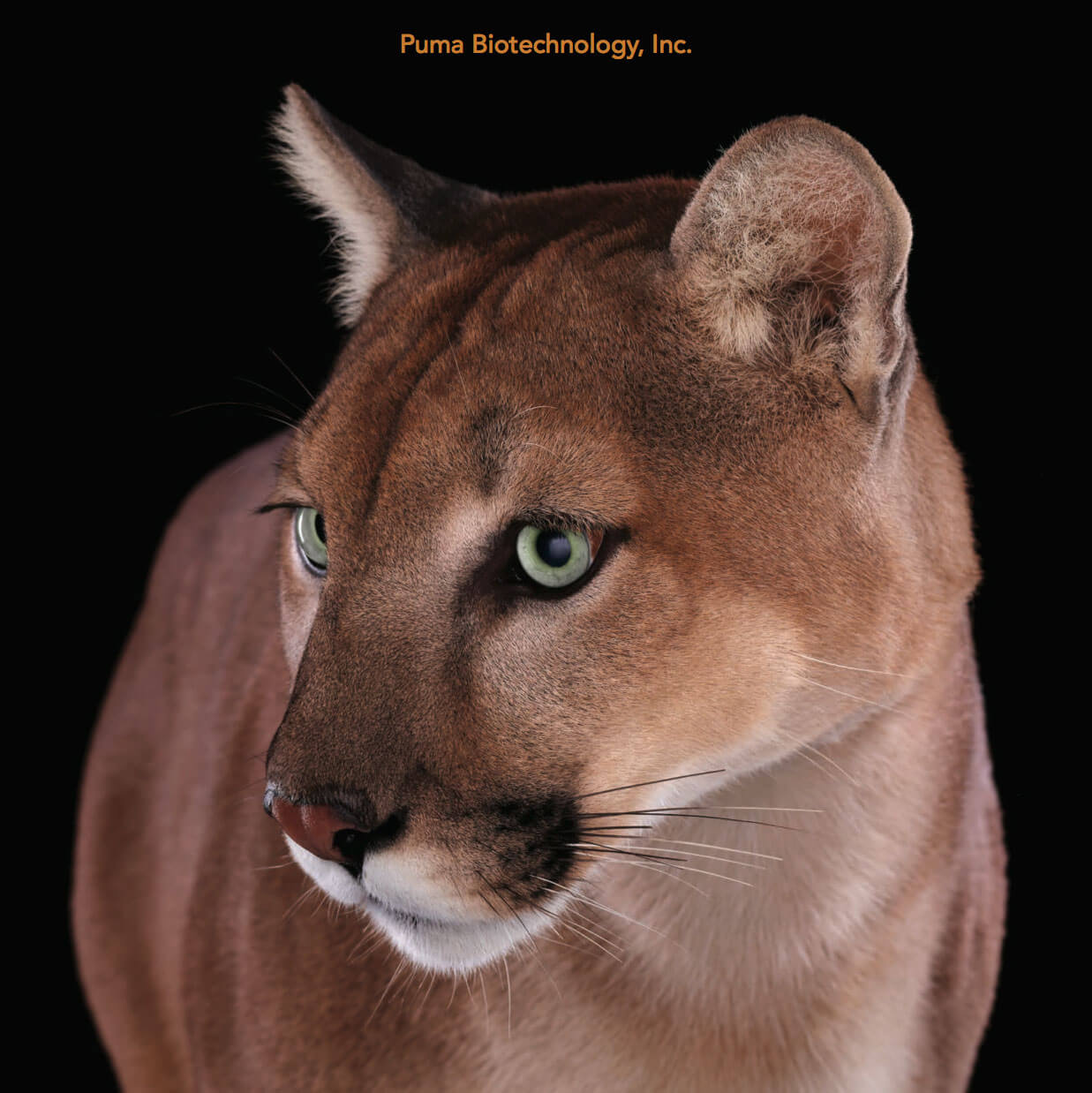 puma biotechnology