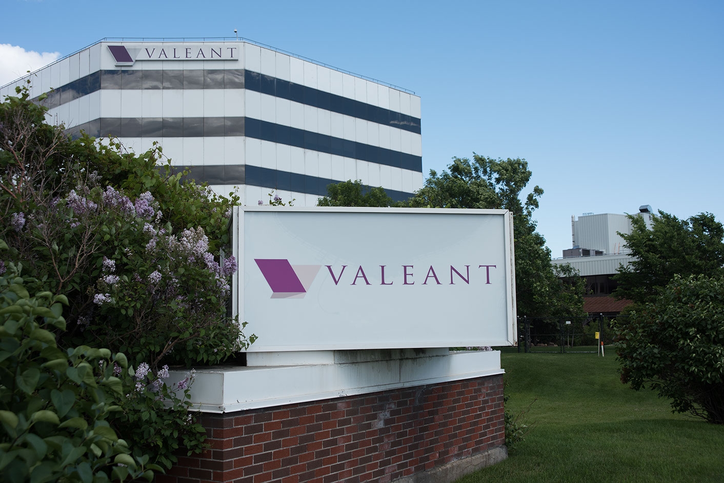 «Валеант фармасьютикалс интернешнл» (Valeant Pharmaceuticals International).