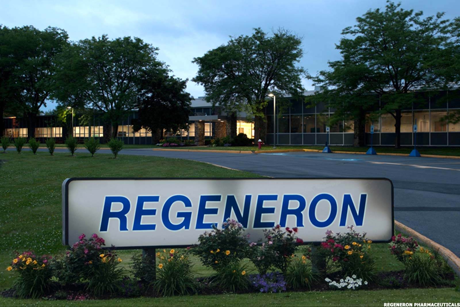 «Ридженерон фармасьютикалс» (Regeneron Pharmaceuticals).