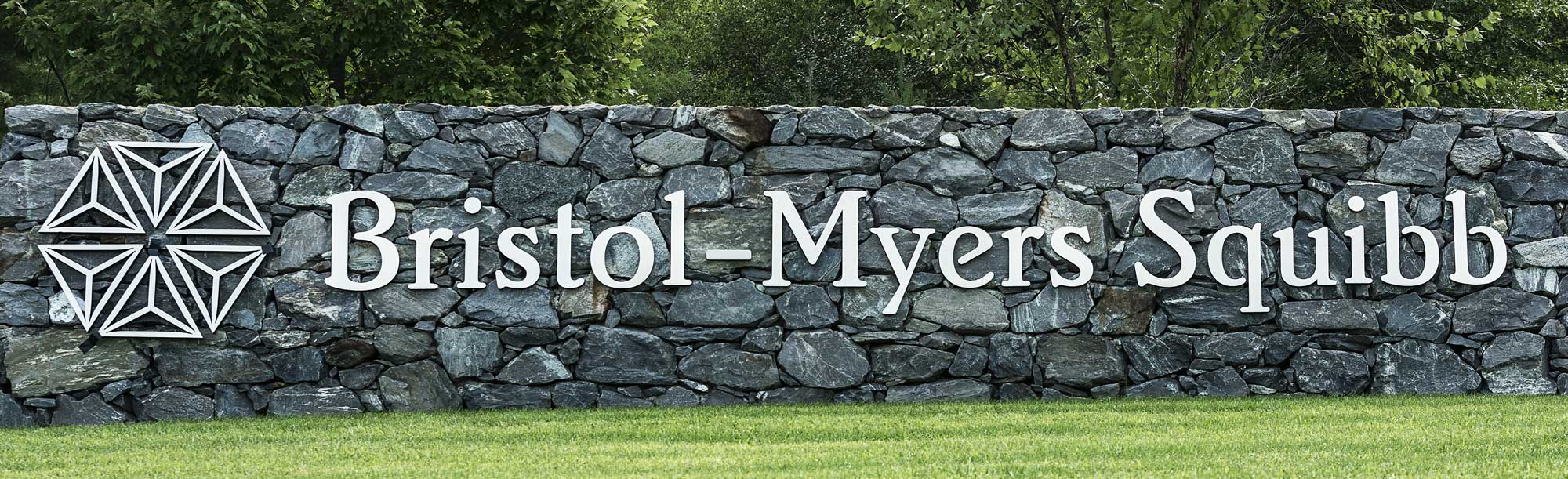 «Бристол-Майерс Сквибб» (Bristol-Myers Squibb).