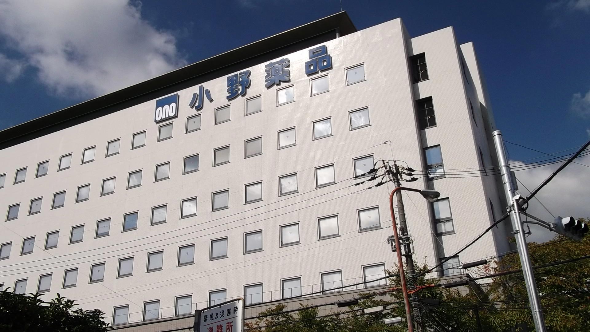 «Оно фармасьютикал» (Ono Pharmaceutical).