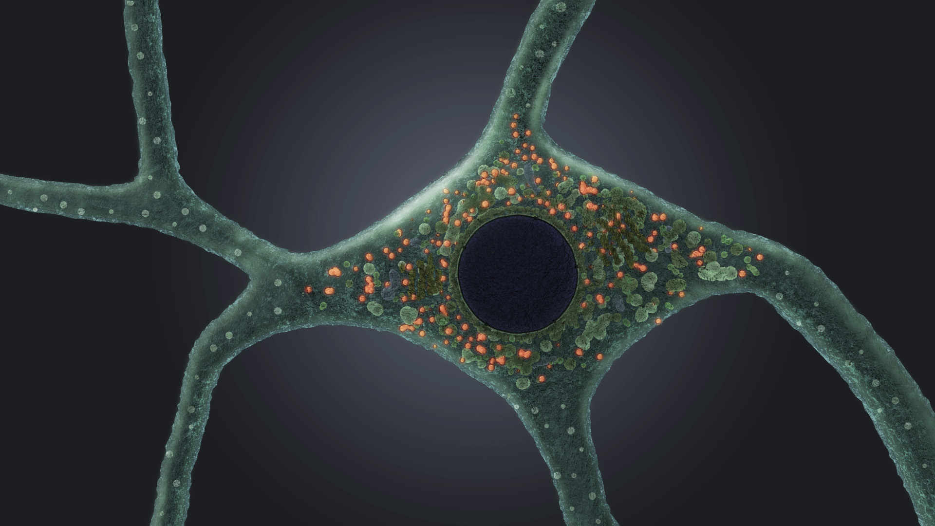 «Денали терапьютикс» (Denali Therapeutics).
