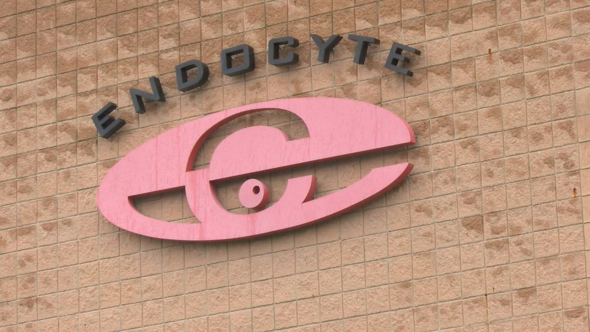 «Эндосайт» (Endocyte).